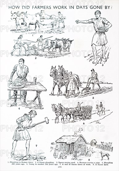 Farming in days gone by