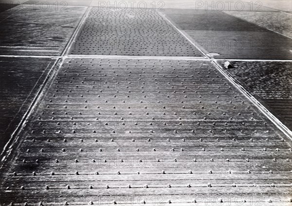 Photograph taken of farming fields in the Netherlands