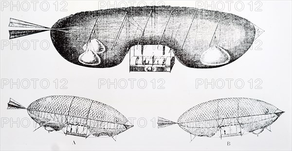 Michel Loup's artificial bird