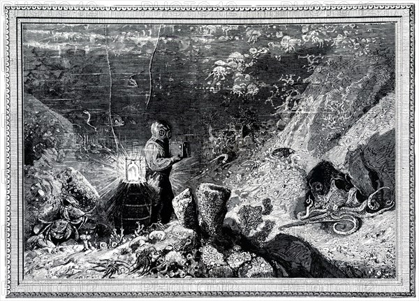 A diver taking photographs on the sea floor