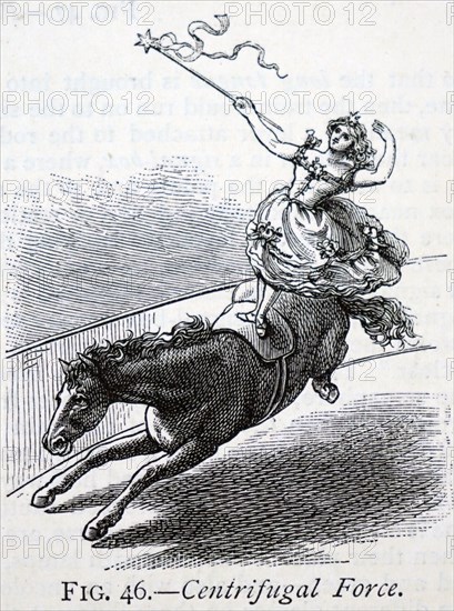Engraving demonstrating how centrifugal force helps the circus performer keep balance whilst riding a horse