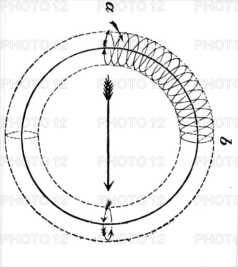 The studying of vortex rings