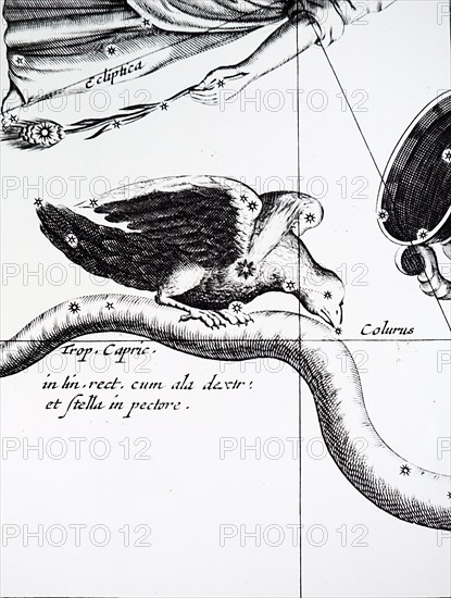 Observations from the Johannes Hevelius's observatory at Gansk