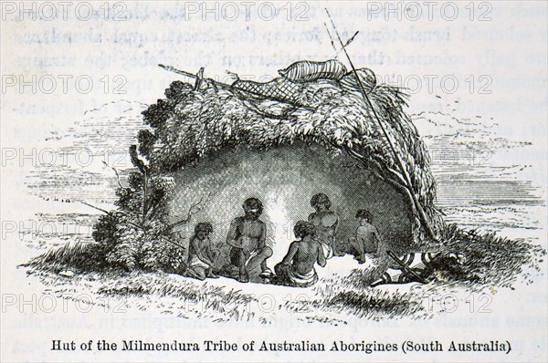 Australian aborigines of the Milmendura Tribe in their hut