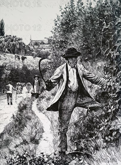 A farmer hedging in a country lane