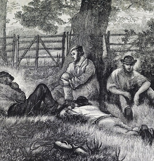 Agricultural labourers resting under a tree during a hot summer's day