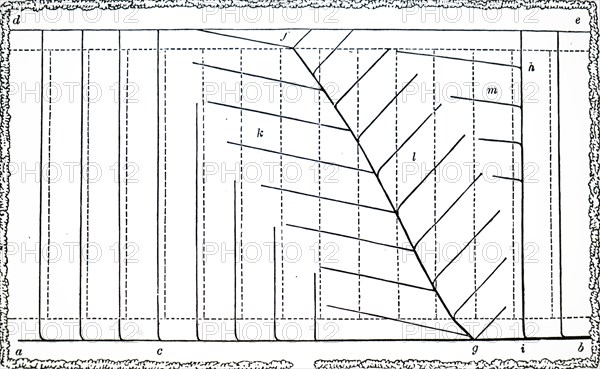 A ground plan for drainage of a field