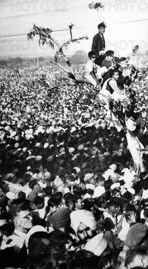 Crowds watch the cremation of Mohandas Karamchand Gandhi
