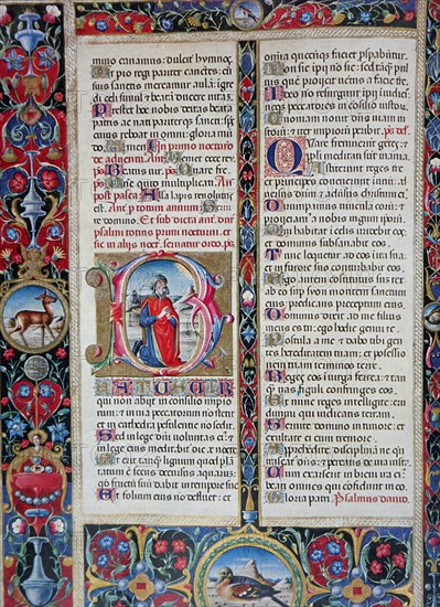 Illuminated page from the Historia Naturalis