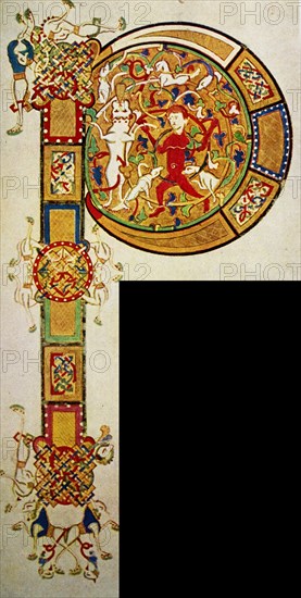 Illuminated initial from the Historia Naturalis