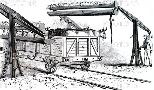 The apparatus for watering cattle during rail transit without removing them from the their trucks