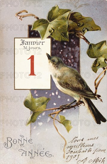 French Happy New Year, postcard depicting a bird on a branch, circa 1900