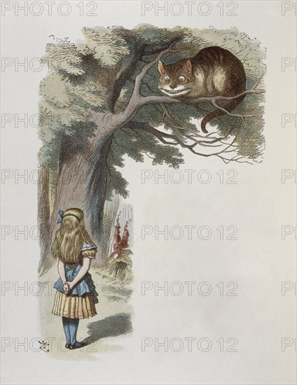 Illustration by Tenniel, from the 1890 edition of 'Alice in Wonderland' by Lewis Carroll