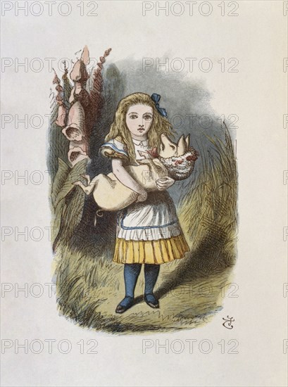 Illustration by Tenniel, from the 1890 edition of 'Alice in Wonderland' by Lewis Carroll