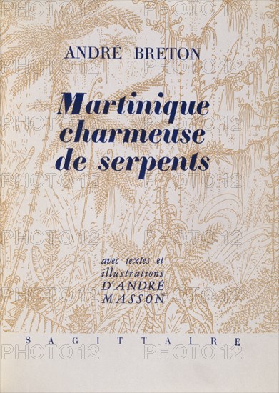 Illustration from 'Martinique, Snake Charmer'