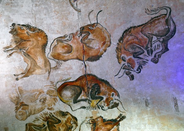 Cave painting found in the Cave of Altamira, located in Cantabria, Spain, dating from the Upper Paleolithic period