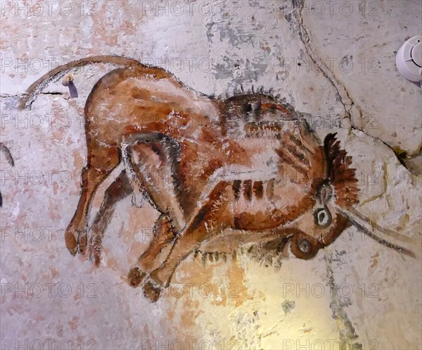 Cave painting found in the Cave of Altamira, located in Cantabria, Spain, dating from the Upper Paleolithic period