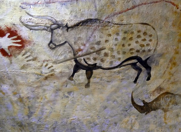 Cave painting found in the Cave of Altamira, located in Cantabria, Spain, dating from the Upper Paleolithic period