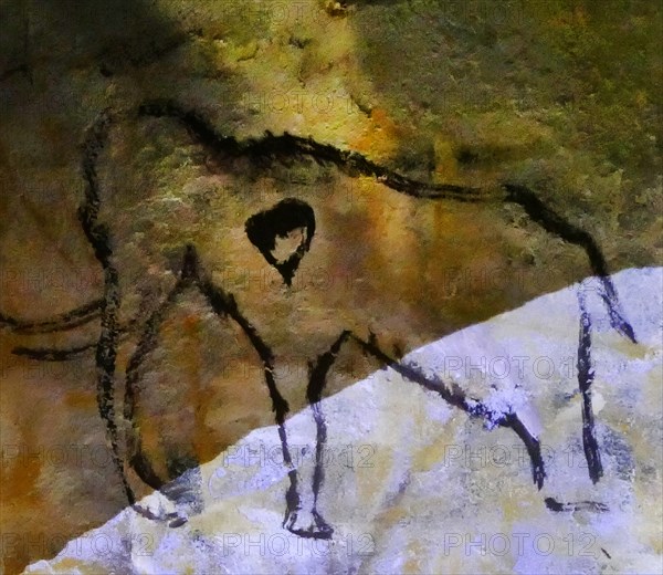 Cave painting found in the Cave of Altamira, located in Cantabria, Spain, dating from the Upper Paleolithic period