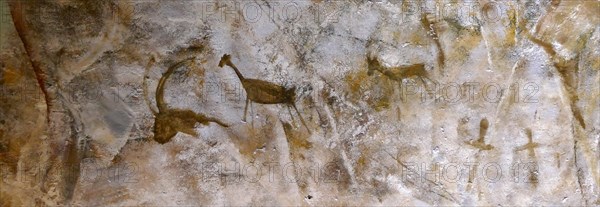 Cave painting found in the Cave of Altamira, located in Cantabria, Spain, dating from the Upper Paleolithic period