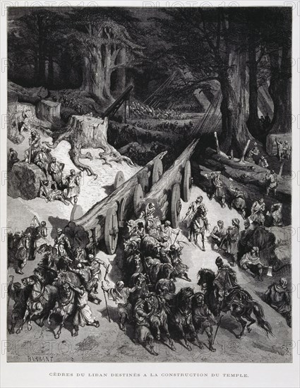 Cedars of Lebanon taken to construct the Temple in Jerusalem, Illustration from the Dore Bible 1866