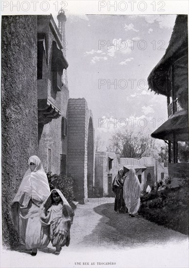 Photograph of a road going through the gardens of the Trocadero