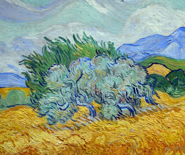 A Wheatfield, with Cypresses, 1889, by Vincent van Gogh