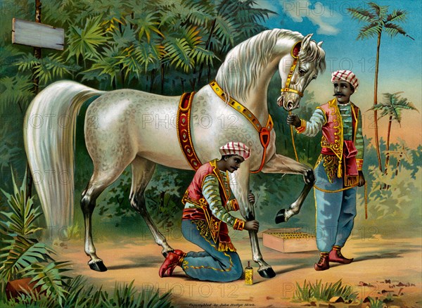 The Sultan's steed, published c1890
