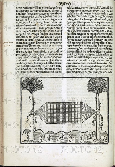 La historia general delas Indias: con priuilegio imperial, 1540