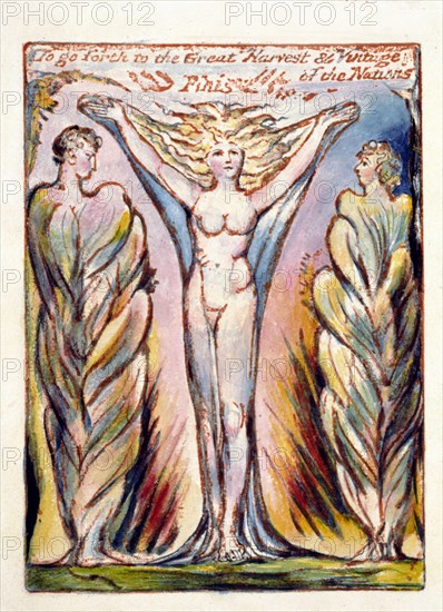 Milton, a poem in 12 books, c1815. By William Blake