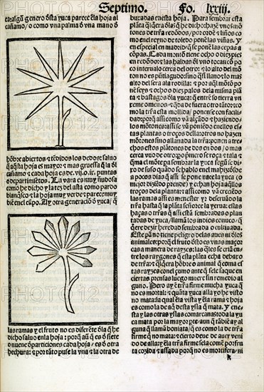 La historia general delas Indias con priuilegio imperial, 1540