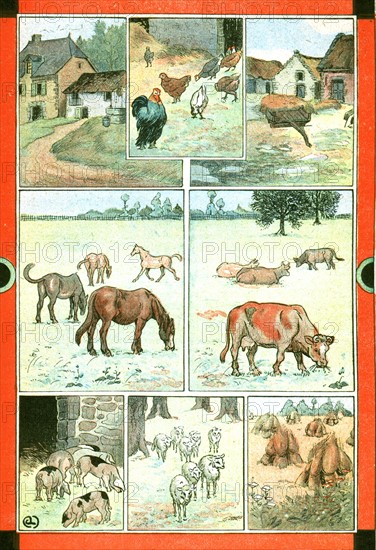 Les animaux de la ferme