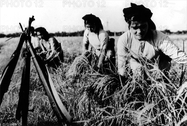 Guerre du Vietnam, Femmes sud-vietnamiennes au travail, 1966