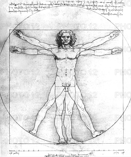 Léonard de Vinci, proportions de l'homme