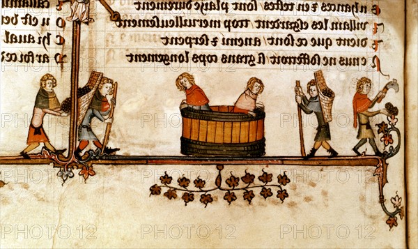 Miniature from the "Roman d'Alexandre" (Alexander's novel). Wine growers pressing grapes