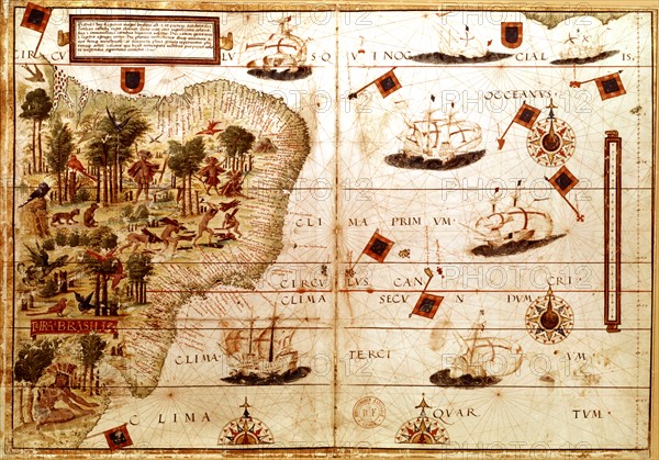 Atlas nautique portugais de Diego Homem. Détail : le Brésil