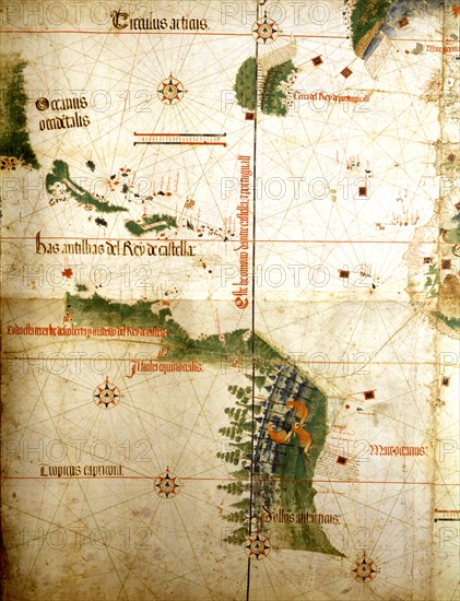 Portuguese map, known as Cantino map, 16th century