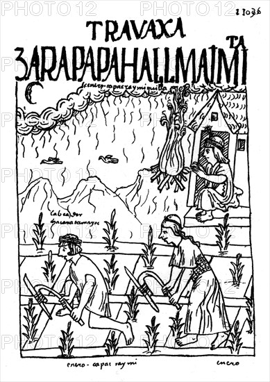 Guaman Poma de Ayala : "Nueva Cororica y buen gobierne". Codex péruvien. La culture du maïs au Pérou par les Incas