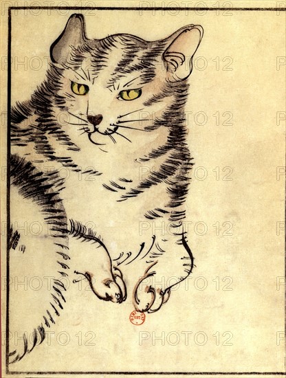 Anonymous Japanese print. Cat