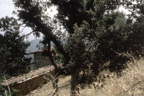 Algeria, Soummam Valley - House of the Executive Committee