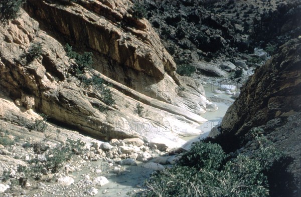 Algérie, les Aurès, gorges de Tighanimine