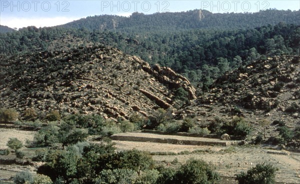 Algérie, les Aurès, gorges de Tighanimine