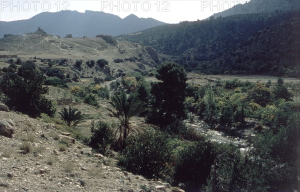 Algérie, les Aurès, gorges de Tighanimine