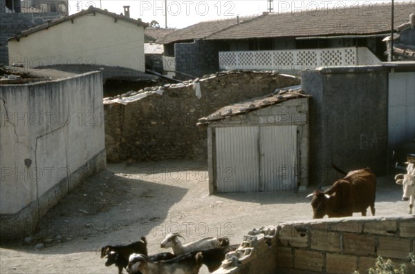 The house where the calls of November 1, 1954 were duplicated (War in Algeria)