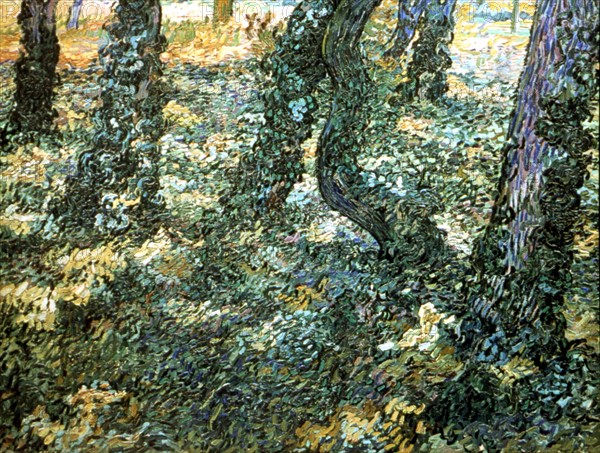 Van Gogh, Sous-bois