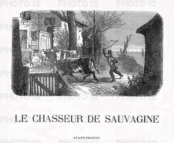 Le chasseur de Sauvagine