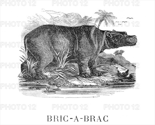 Dumas, 'Bric-à-Brac'