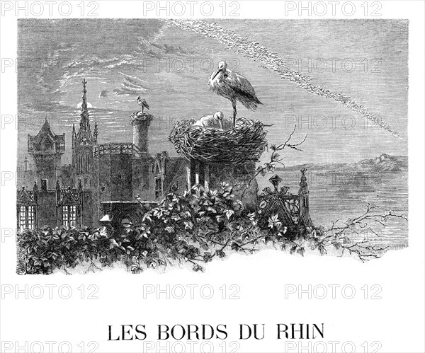 Dumas, "Les bord du Rhin"