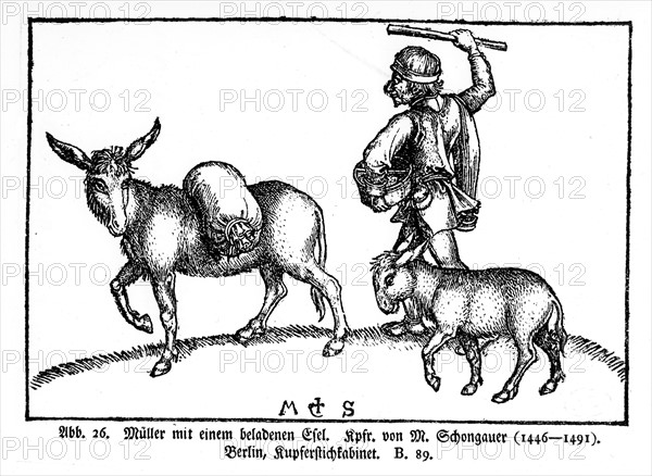 Wood engraving, Peasant with his mule and his donkey