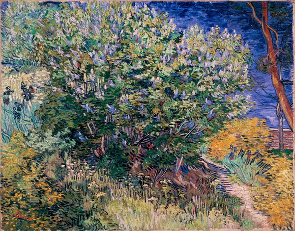 Van Gogh, Lilac Bush
